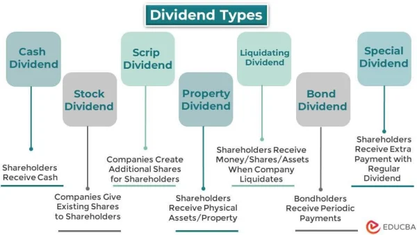 What is a Dividend? Essential Knowledge About Dividends