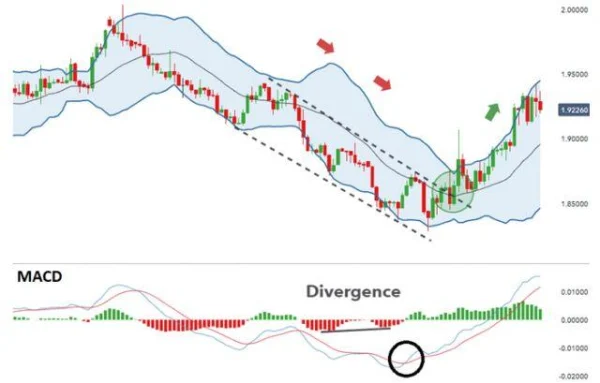 Exploring the Relationship Between Bollinger Bands and MACD
