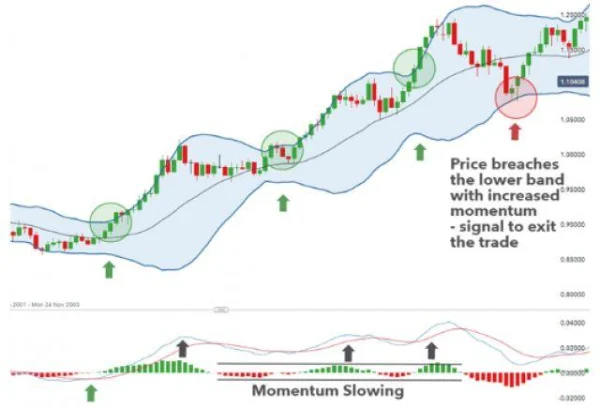 Exploring the Relationship Between Bollinger Bands and MACD