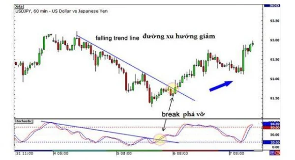 Essential Knowledge for Interpreting Divergence Signals