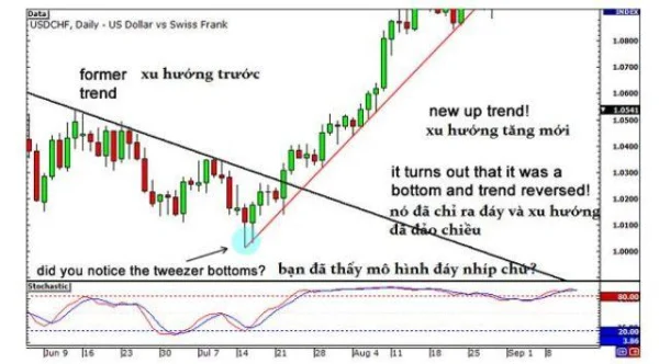 Essential Knowledge for Interpreting Divergence Signals