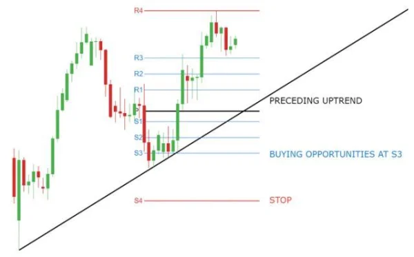 Pivot Points: How to Identify Support and Resistance Levels