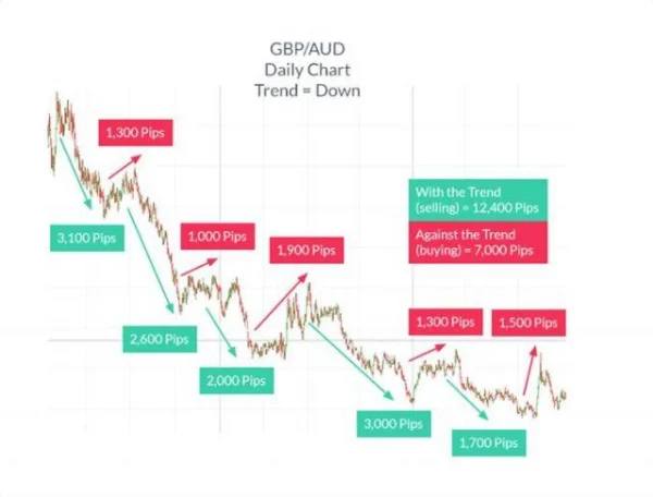 Trend is Your Friend - How to Identify a Strong Trend in the Stock Market