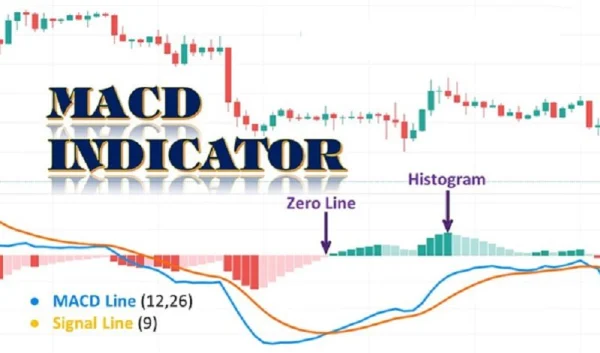 Understanding MACD The Key to Enhancing Your Investment Strategy